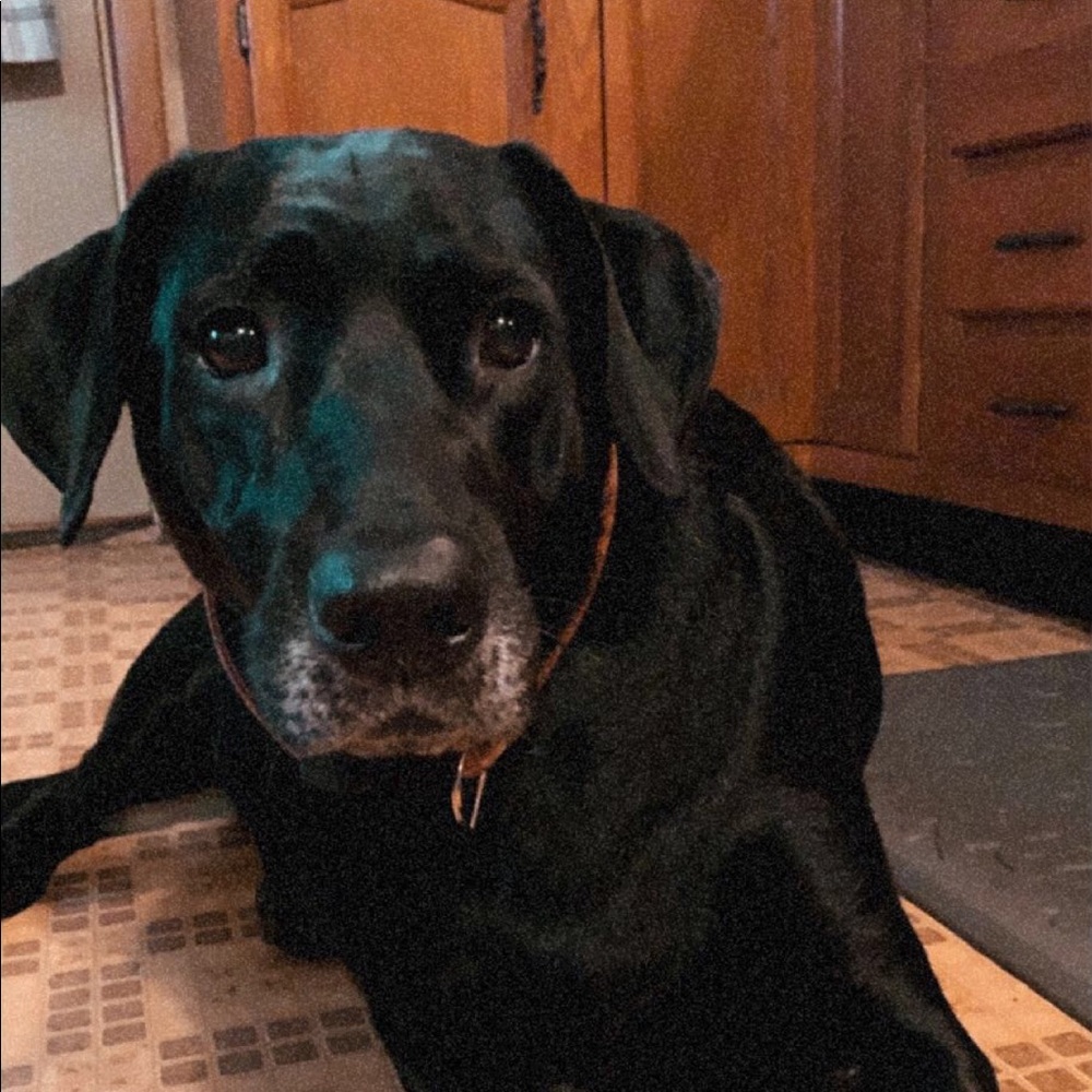 Meet your Posher, Ceressa